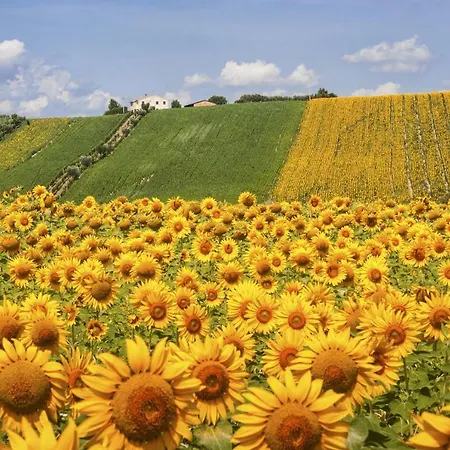 In Completo Confort Appartement